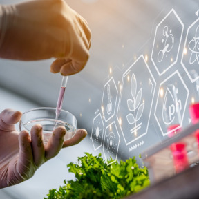 ISO 22003-1 Standardına Geçiş